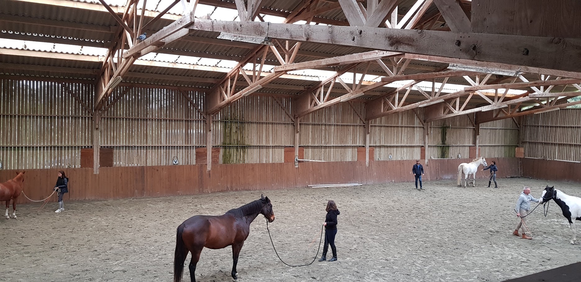 Manège 40×20 Ékinétik