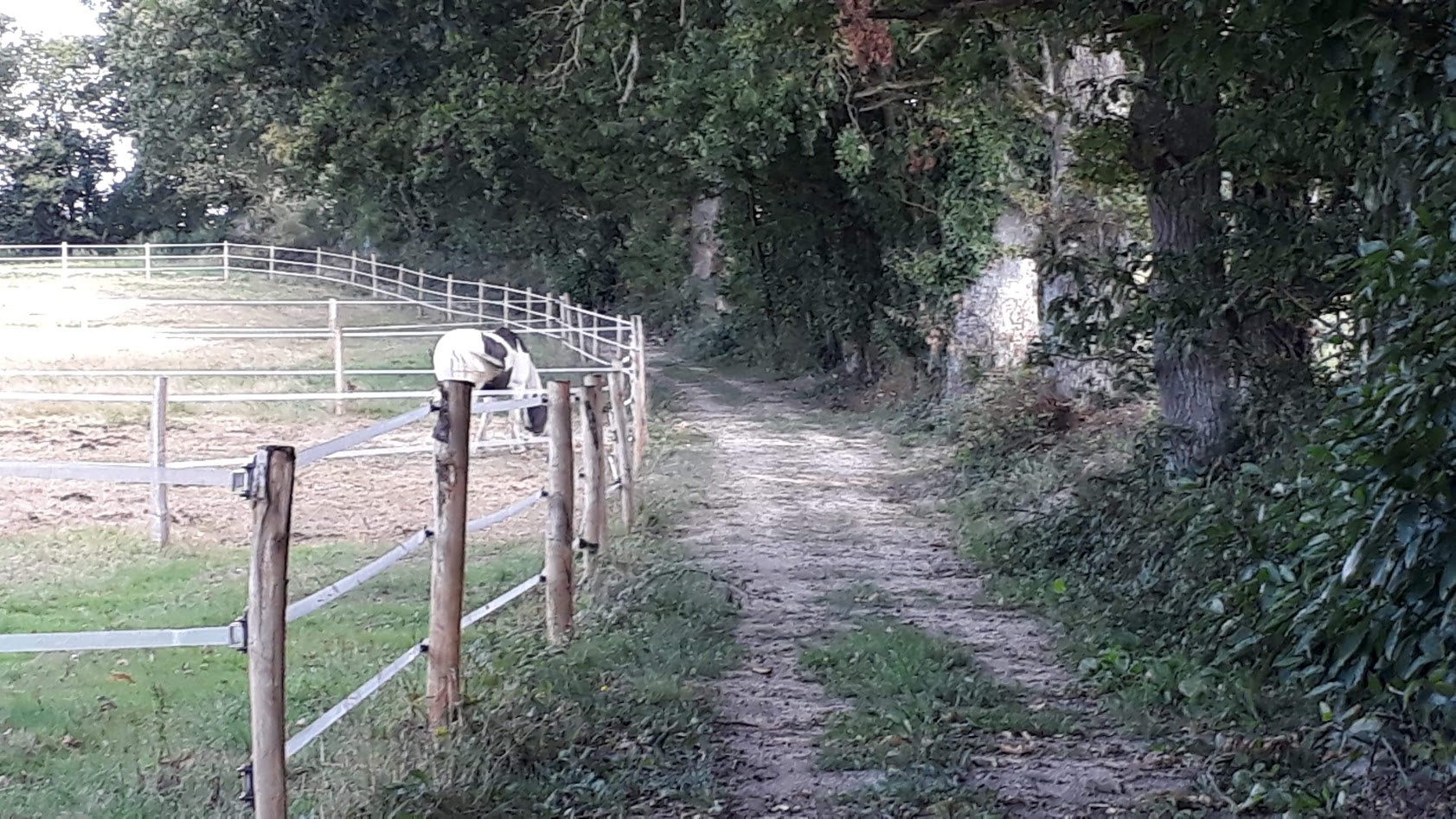 Allées cavalières Ékinétik