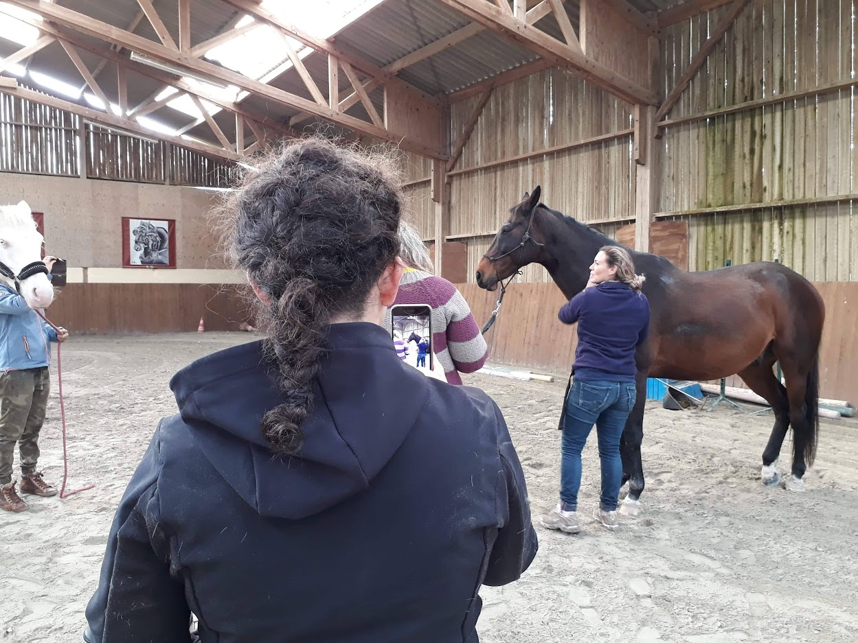 Cours collectif d'équitation