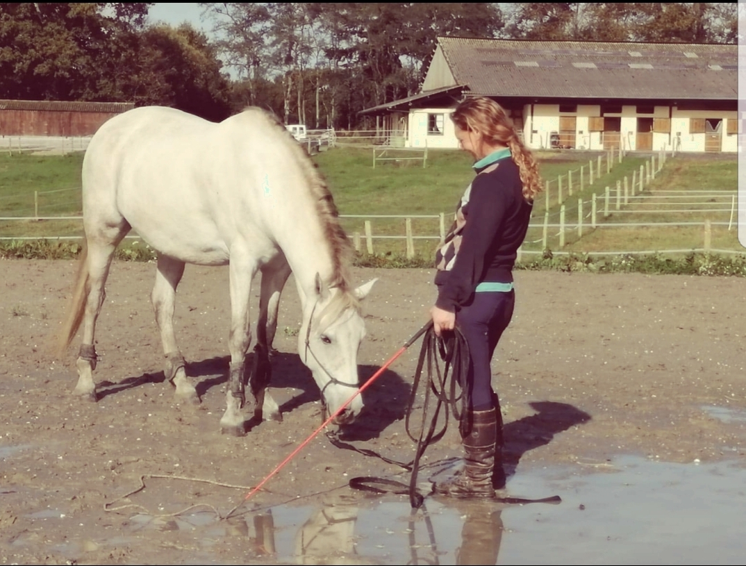 Tyfen, monitrice d'équitation Ékinétik