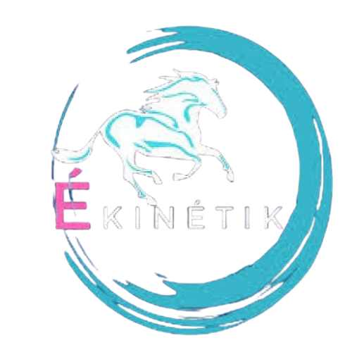 Ékinétik – Formation Équestre